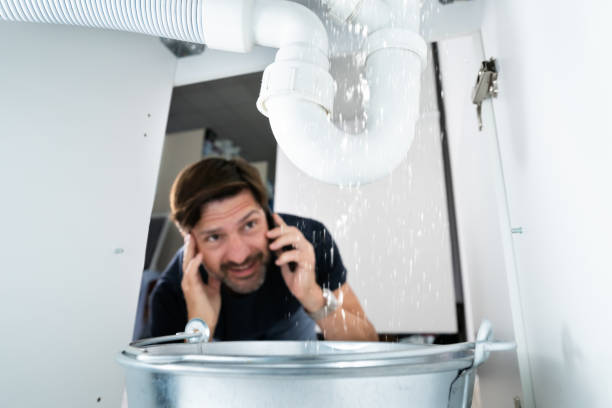 Best Emergency Plumber  in Flora Vista, NM