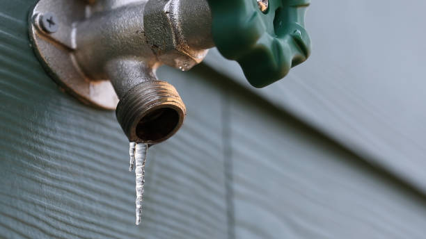 Best Water Softener Installation  in Flora Vista, NM