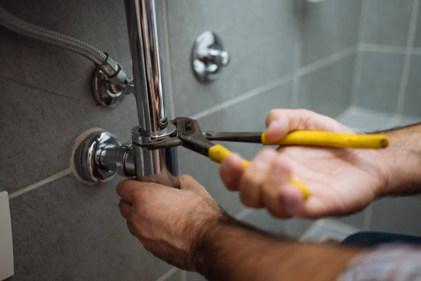 Best Plumbing Inspection Services  in Flora Vista, NM